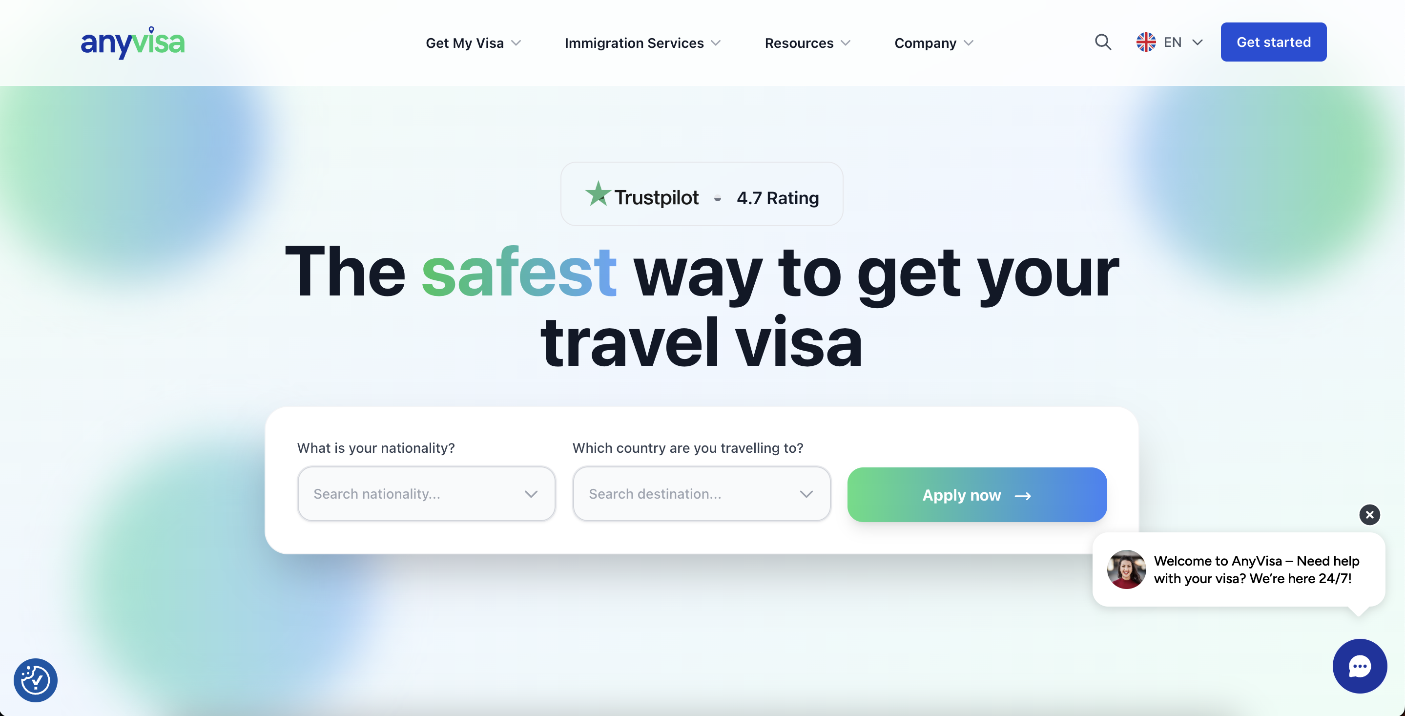 AnyVisa Landing Page